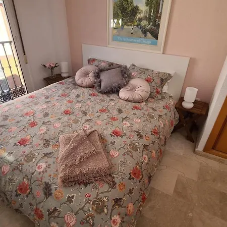 Penthouse With Solarium In The Center Of Malaga-atico Con Solarium En El Centro De *