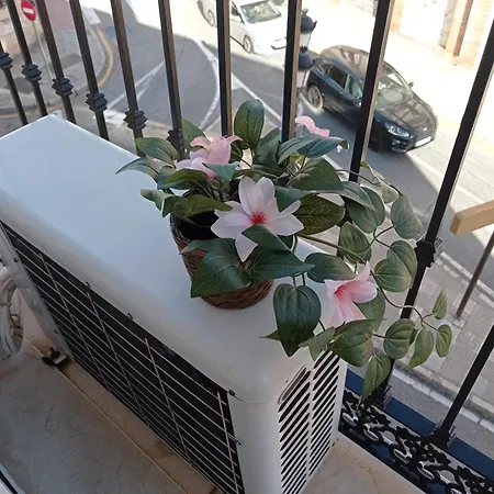 Penthouse With Solarium In The Center Of Malaga-atico Con Solarium En El Centro De *