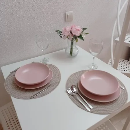 Penthouse With Solarium In The Center Of Malaga-atico Con Solarium En El Centro De Apartment *