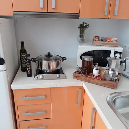 Apartment Penthouse With Solarium In The Center Of Malaga-atico Con Solarium En El Centro De *
