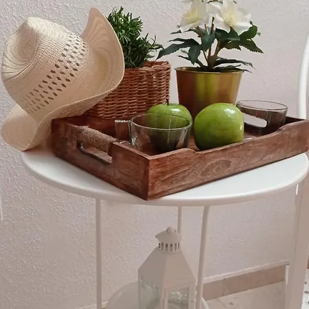 Penthouse With Solarium In The Center Of Malaga-atico Con Solarium En El Centro De Apartment *