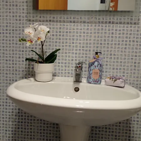 Penthouse With Solarium In The Center Of Malaga-atico Con Solarium En El Centro De * Malaga